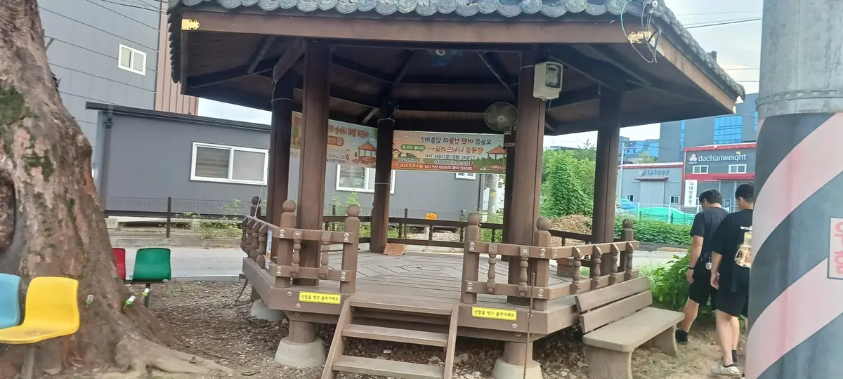 파고라 기둥 정비 후 진입 계단 쪽에서 본 목재 파고라 전경